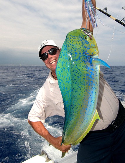 mahi14.jpg