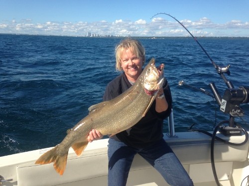 IMG_0907 (500x375).jpg