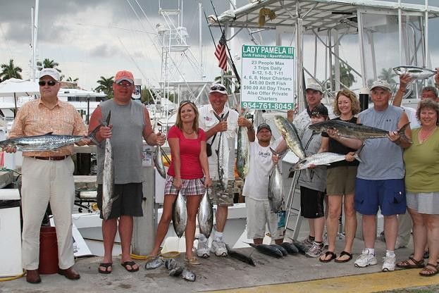 ALL DAY DOLPHIN 1.jpg