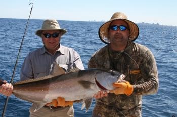 AMBERJACK MARCH 18.jpg