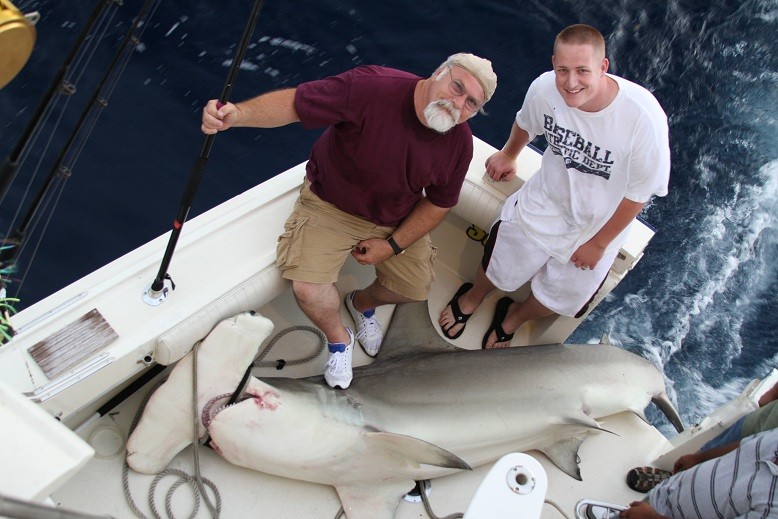 Hammerhead Shark.jpg